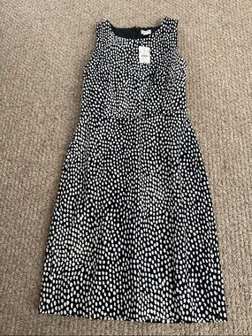 J. Crew Navy Dress with White Dot Print